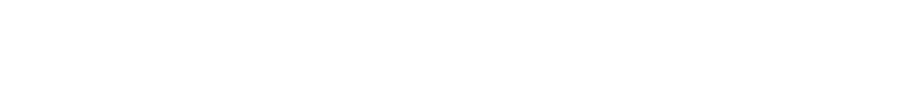 SIMPLEX GARMS